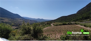 terrain à la vente -   34700  LODEVE, surface 2080 m2 vente terrain - APR700514